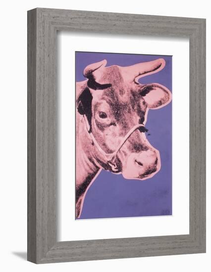 Cow, 1976 (pink & purple)-Andy Warhol-Framed Art Print