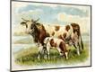 Premium Giclee Print