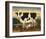 Cow and Cat-Diane Ulmer Pedersen-Framed Art Print