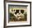 Cow and Cat-Diane Ulmer Pedersen-Framed Art Print