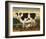 Cow and Cat-Diane Ulmer Pedersen-Framed Art Print