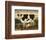 Cow and Cat-Diane Ulmer Pedersen-Framed Giclee Print