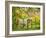 Cow and Farmland, Taoroa Junction, Rangitikei, North Island, New Zealand-David Wall-Framed Photographic Print