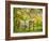 Cow and Farmland, Taoroa Junction, Rangitikei, North Island, New Zealand-David Wall-Framed Photographic Print