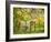 Cow and Farmland, Taoroa Junction, Rangitikei, North Island, New Zealand-David Wall-Framed Photographic Print