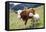 Cow and Sheep-Trbilder-Framed Premier Image Canvas