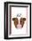 Cow - Animaru Cartoon Animal Print-Animaru-Framed Giclee Print