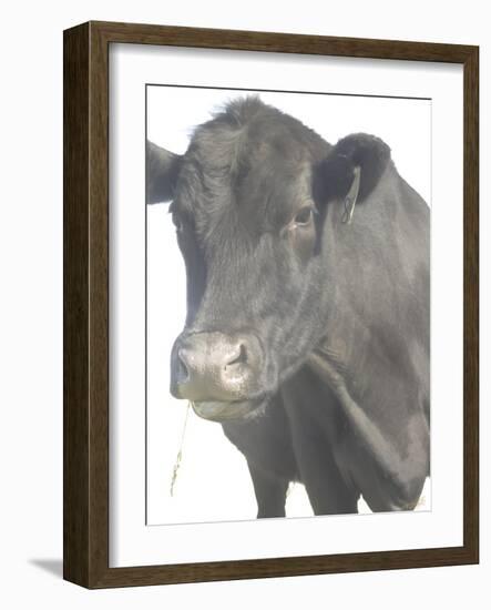 Cow as Farmer 1-null-Framed Photographic Print