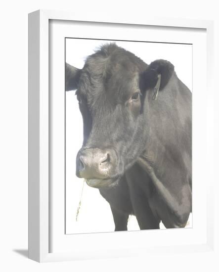 Cow as Farmer 1-null-Framed Photographic Print