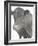 Cow as Farmer 1-null-Framed Photographic Print