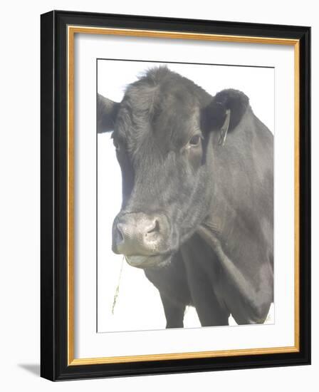 Cow as Farmer 1-null-Framed Photographic Print