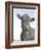 Cow as Farmer 2-null-Framed Photographic Print