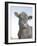 Cow as Farmer 2-null-Framed Photographic Print