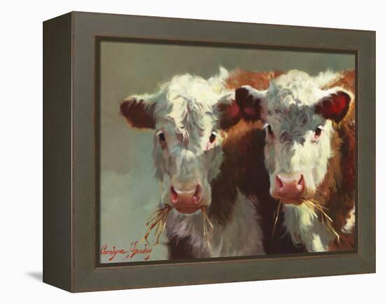 Cow Belles-Carolyne Hawley-Framed Stretched Canvas