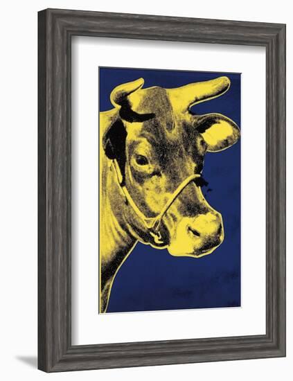 Cow, c.1971 (Blue and Yellow)-Andy Warhol-Framed Giclee Print