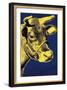 Cow, c.1971 (Blue and Yellow)-Andy Warhol-Framed Art Print