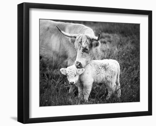 Cow Care Crop-Nathan Larson-Framed Photographic Print