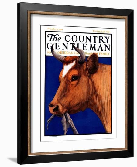 "Cow Chewing Corn Stalk," Country Gentleman Cover, November 17, 1923-Charles Bull-Framed Giclee Print