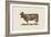 Cow Cow Nut-Florent Bodart-Framed Giclee Print