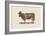 Cow Cow Nut-Florent Bodart-Framed Giclee Print