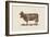 Cow Cow Nut-Florent Bodart-Framed Giclee Print