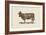 Cow Cow Nut-Florent Bodart-Framed Giclee Print