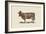 Cow Cow Nut-Florent Bodart-Framed Giclee Print