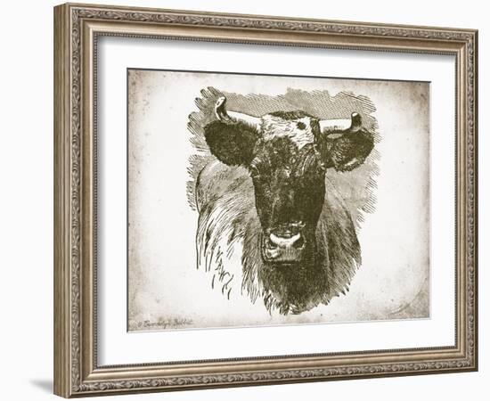 Cow Face I-Gwendolyn Babbitt-Framed Art Print