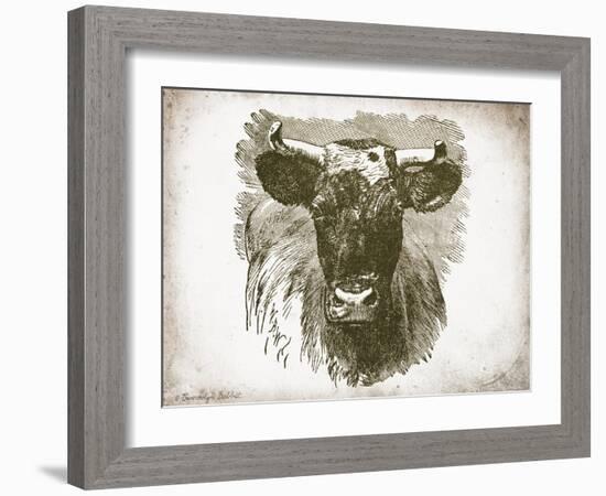 Cow Face I-Gwendolyn Babbitt-Framed Art Print