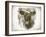 Cow Face I-Gwendolyn Babbitt-Framed Art Print