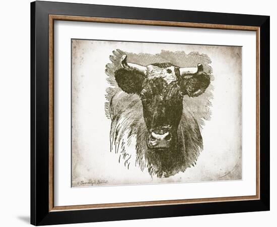 Cow Face I-Gwendolyn Babbitt-Framed Art Print