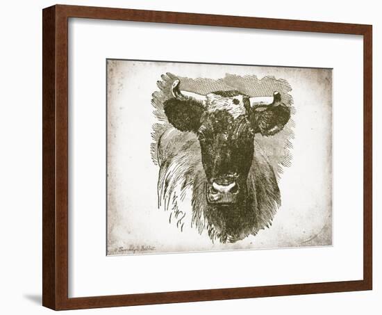 Cow Face I-Gwendolyn Babbitt-Framed Art Print