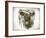 Cow Face I-Gwendolyn Babbitt-Framed Art Print