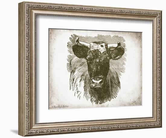 Cow Face I-Gwendolyn Babbitt-Framed Art Print