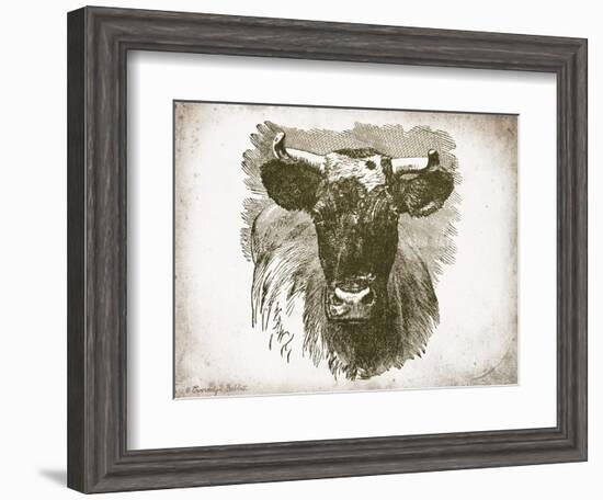 Cow Face I-Gwendolyn Babbitt-Framed Art Print