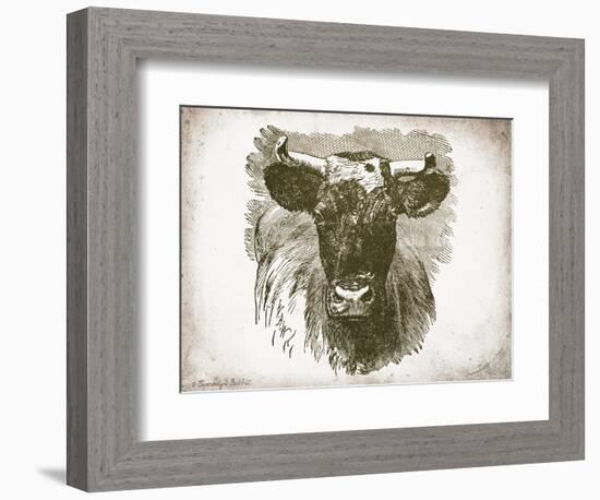 Cow Face I-Gwendolyn Babbitt-Framed Art Print