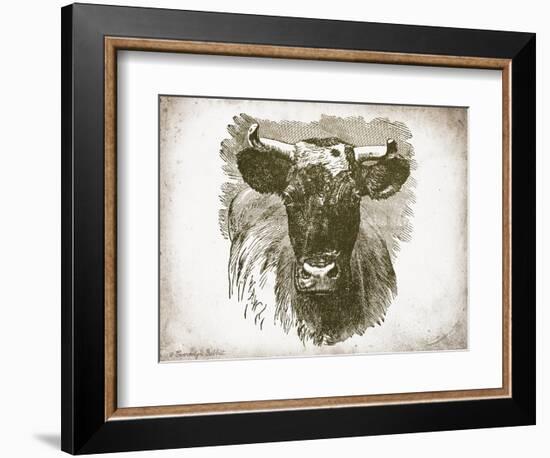 Cow Face I-Gwendolyn Babbitt-Framed Art Print