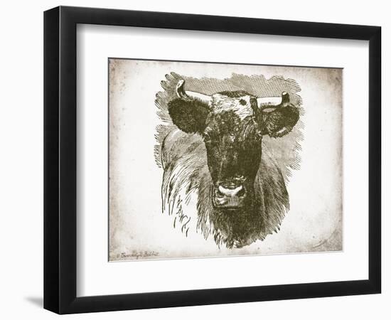 Cow Face I-Gwendolyn Babbitt-Framed Art Print