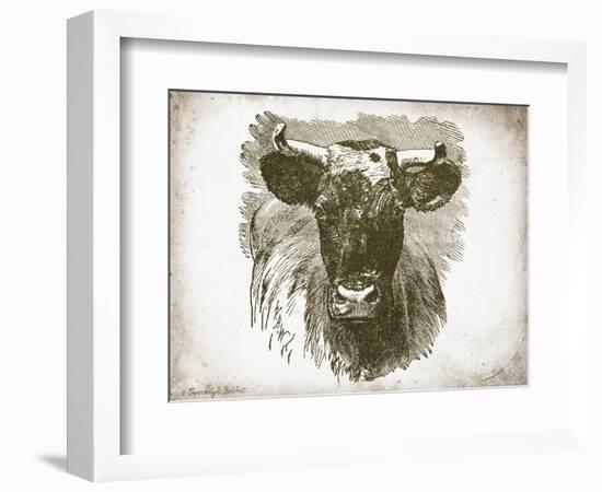 Cow Face I-Gwendolyn Babbitt-Framed Art Print