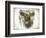 Cow Face I-Gwendolyn Babbitt-Framed Art Print