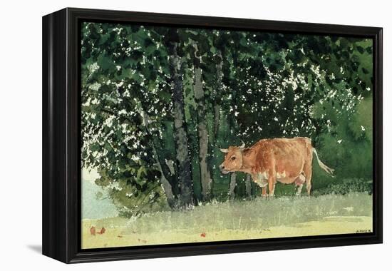 Cow in Pasture, 1878-Winslow Homer-Framed Premier Image Canvas