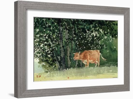 Cow in Pasture, 1878-Winslow Homer-Framed Giclee Print