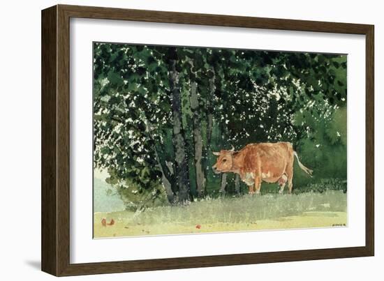 Cow in Pasture, 1878-Winslow Homer-Framed Giclee Print