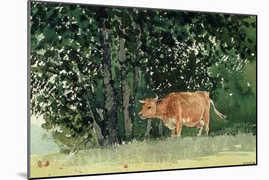 Cow in Pasture, 1878-Winslow Homer-Mounted Giclee Print
