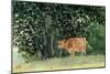 Cow in Pasture, 1878-Winslow Homer-Mounted Giclee Print