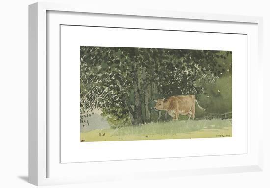 Cow in Pasture-Winslow Homer-Framed Premium Giclee Print