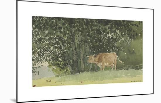 Cow in Pasture-Winslow Homer-Mounted Premium Giclee Print