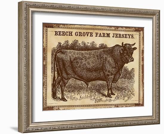 Cow - Jerseys 2-The Saturday Evening Post-Framed Giclee Print