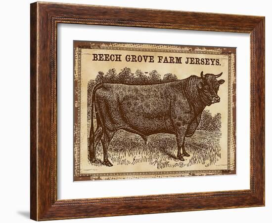 Cow - Jerseys 2-The Saturday Evening Post-Framed Giclee Print