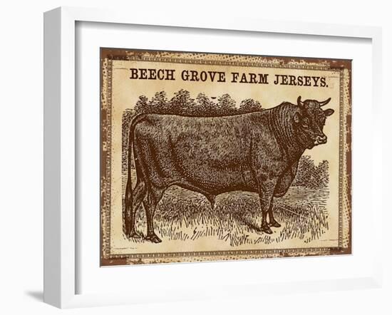 Cow - Jerseys 2-The Saturday Evening Post-Framed Giclee Print